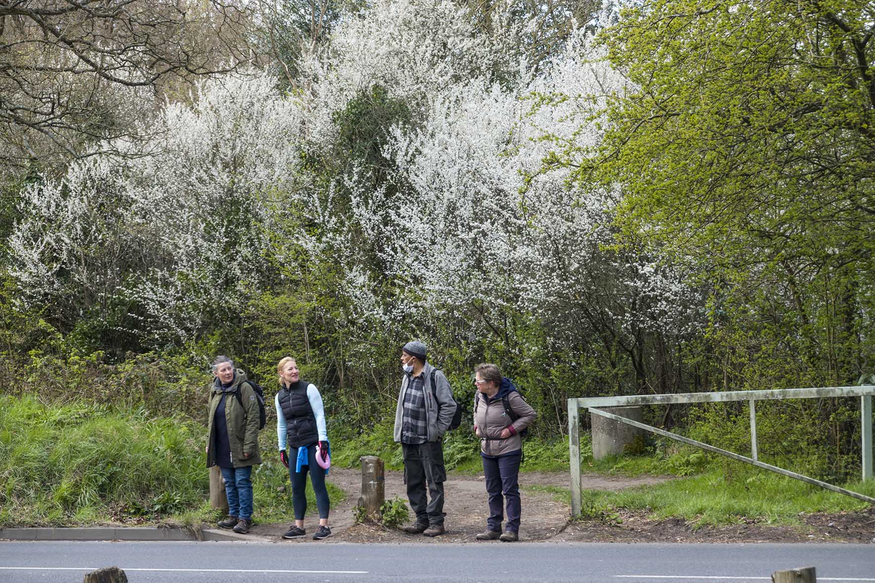 PettsWoodtoChislehurstBusyCrossing