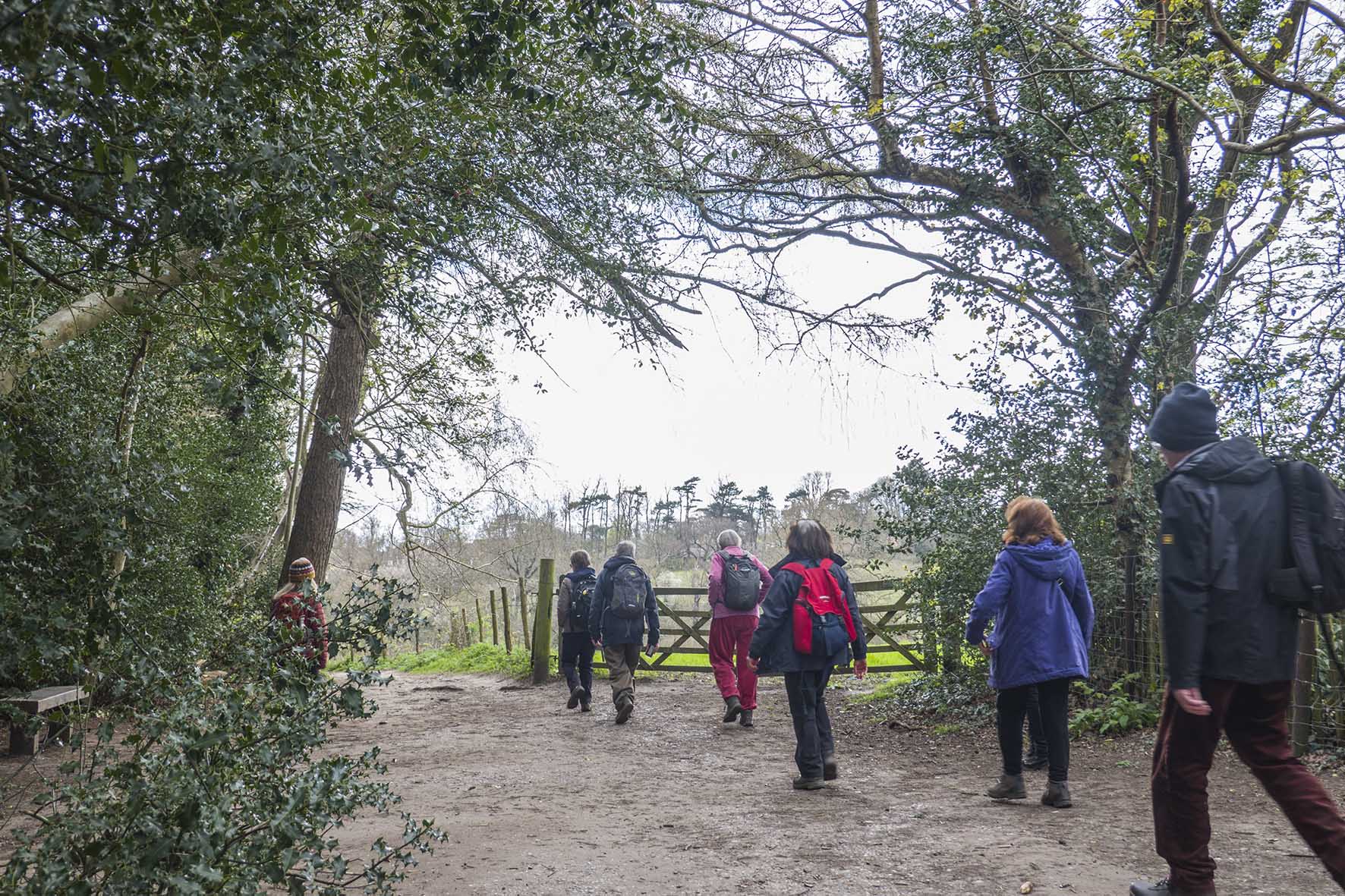 PettsWoodtoChislehurstWoodlandWalk 2