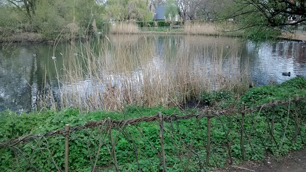 PutneyGF02