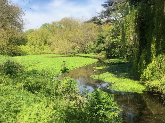 WandleDM16