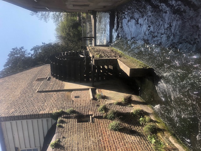 WandleDM20