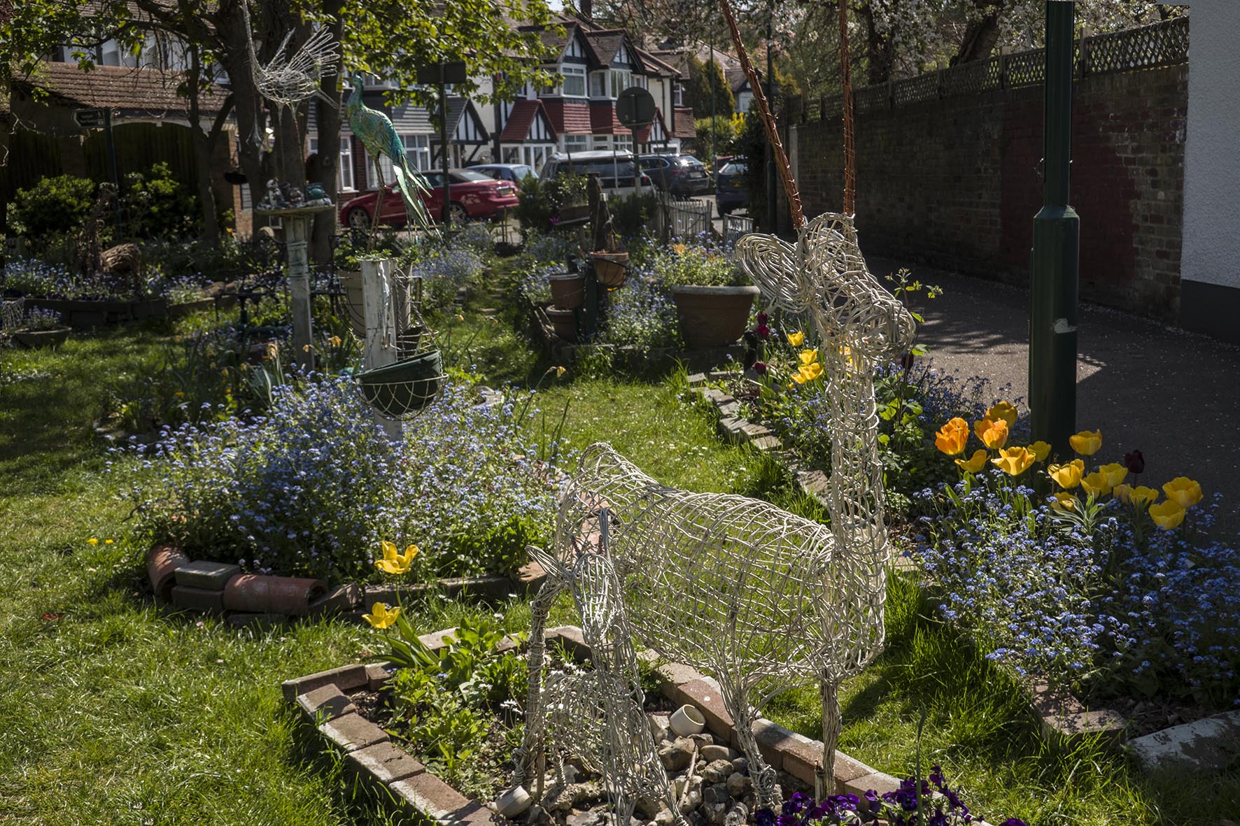 WandleTrailCommunityGardem