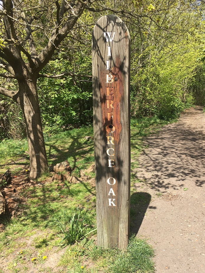 HayesCM01