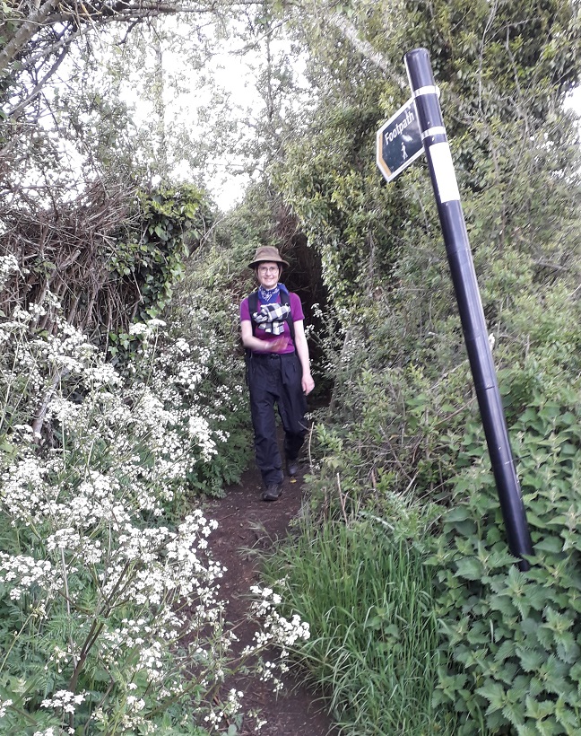 WestMallingDH02