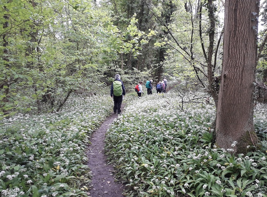 WestMallingDH03