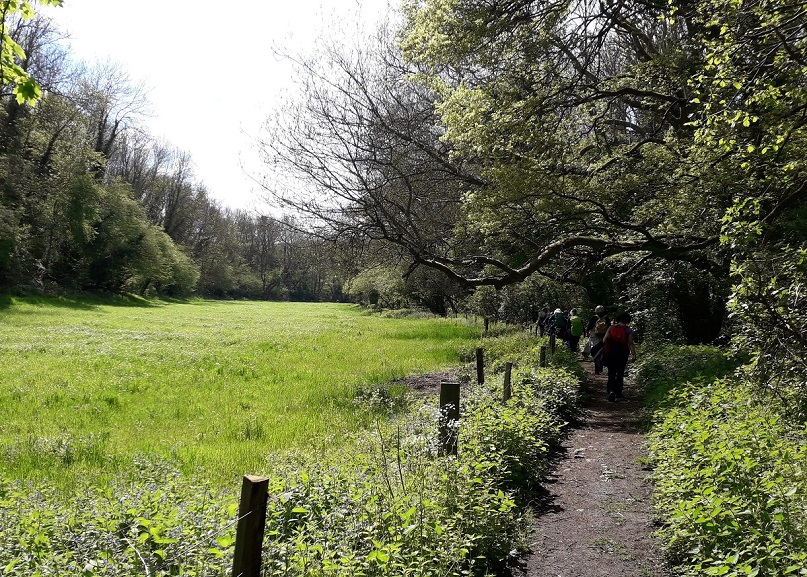 WestMallingDH05
