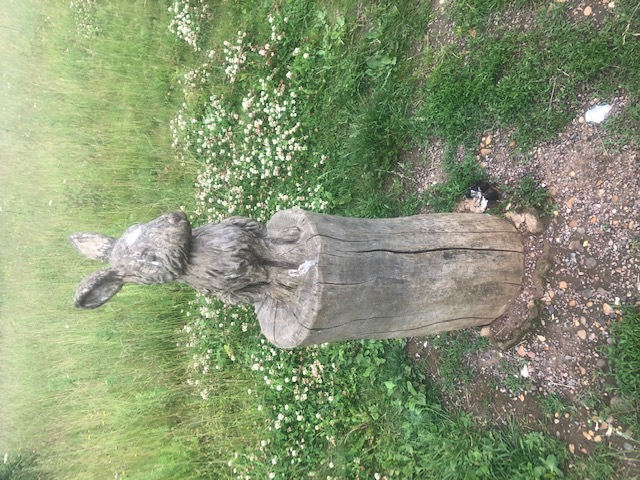 HarpendenDM04