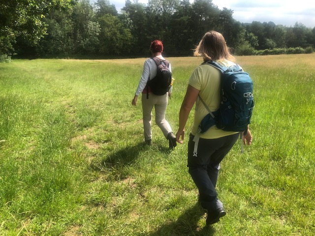 Balcombe2DM01