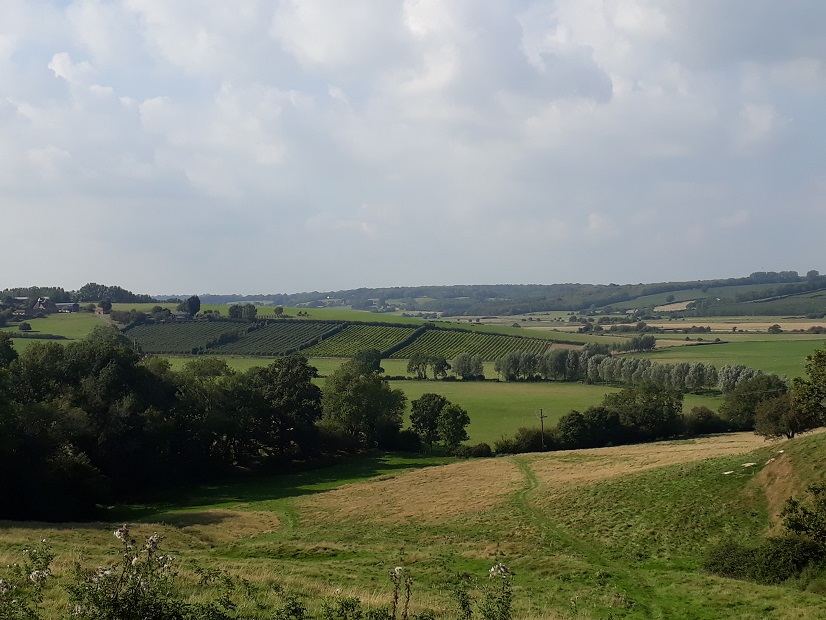 Winchelsea beyond IckleshamAC03