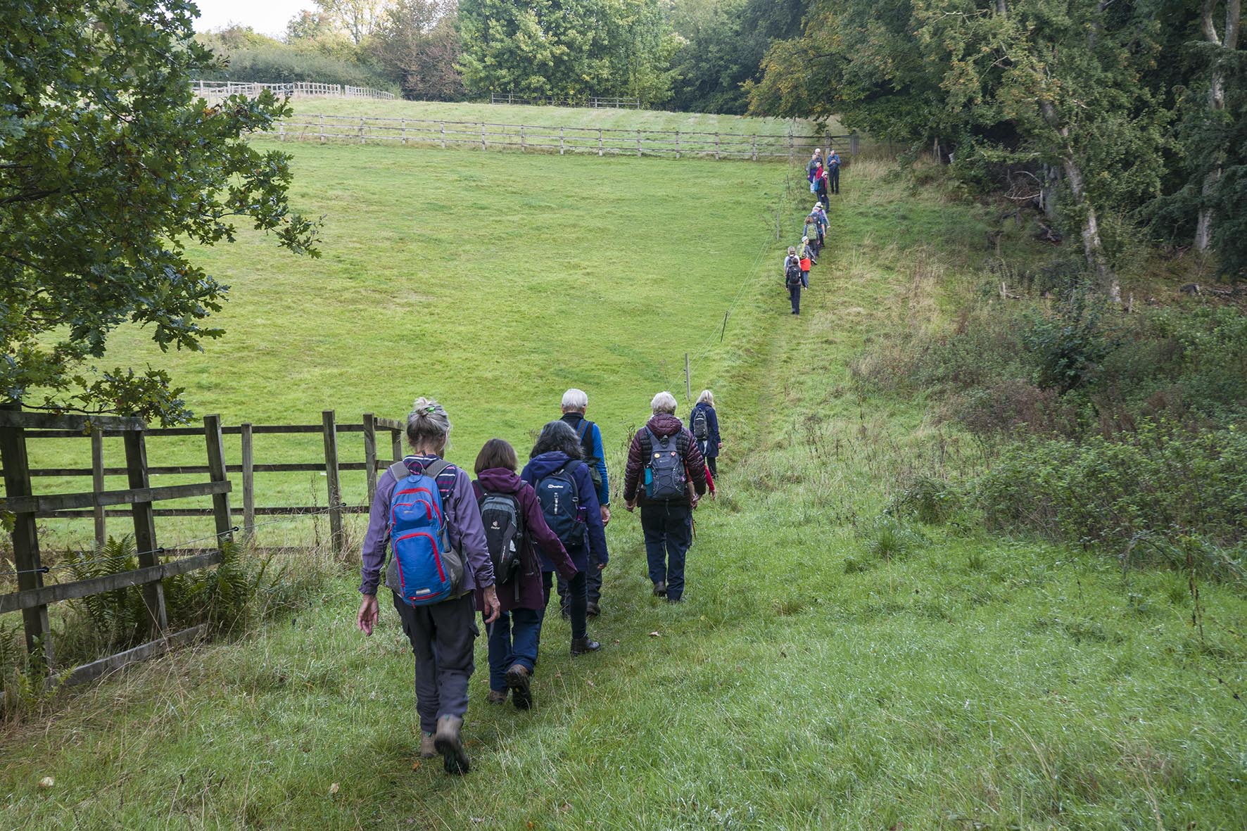 HenleyCircRamblers 1