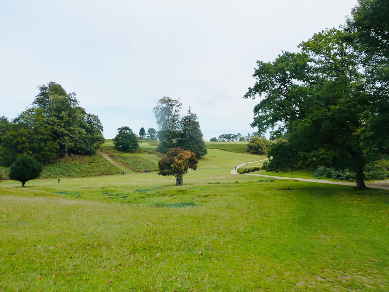 SevenoaksGW01