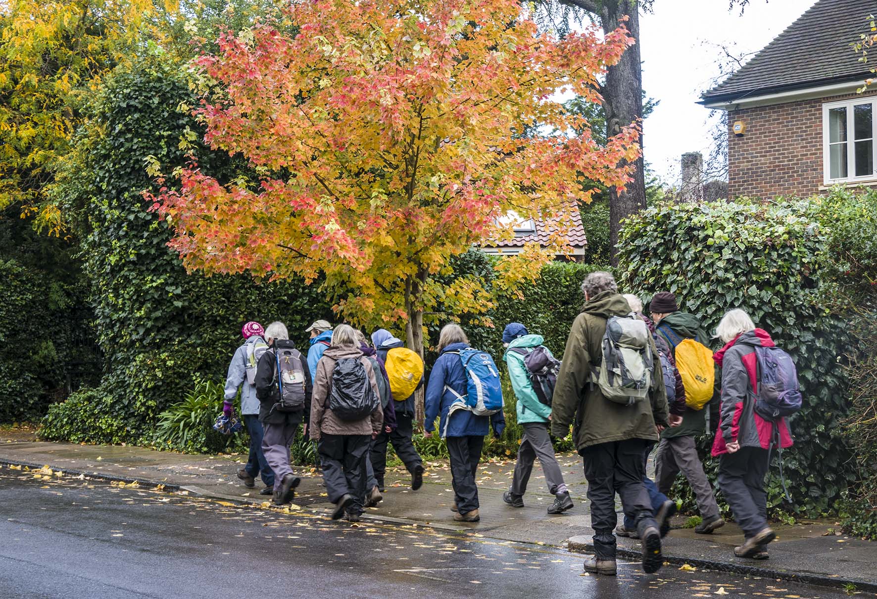 WimbledonPktoRichmndAutumnColourRamblers