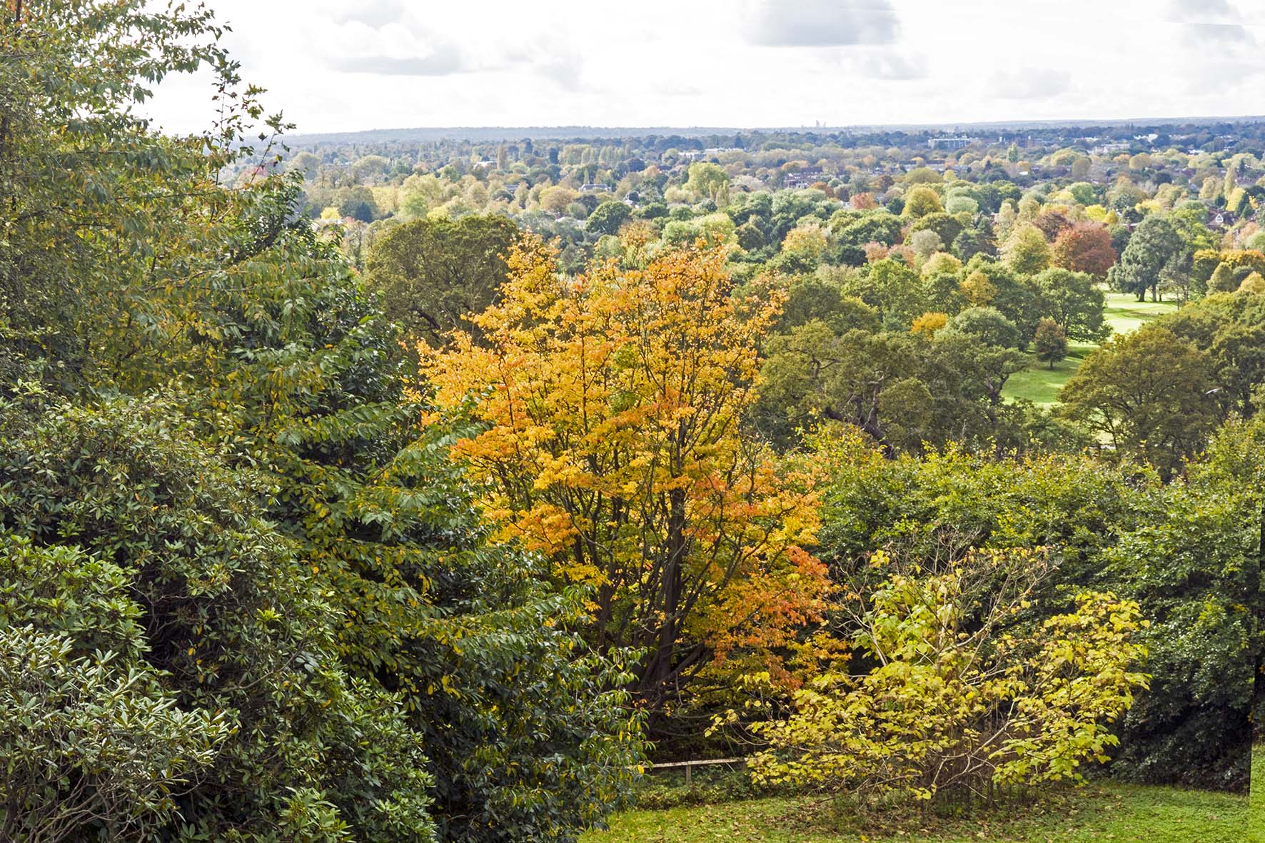 WimbledonPktoRichmndView