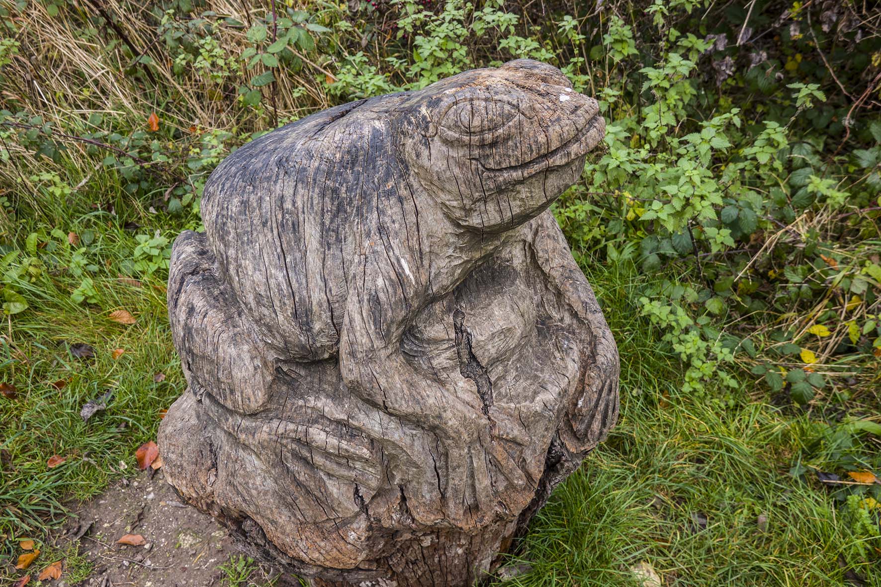 ShorehamCircMegabeastFrog