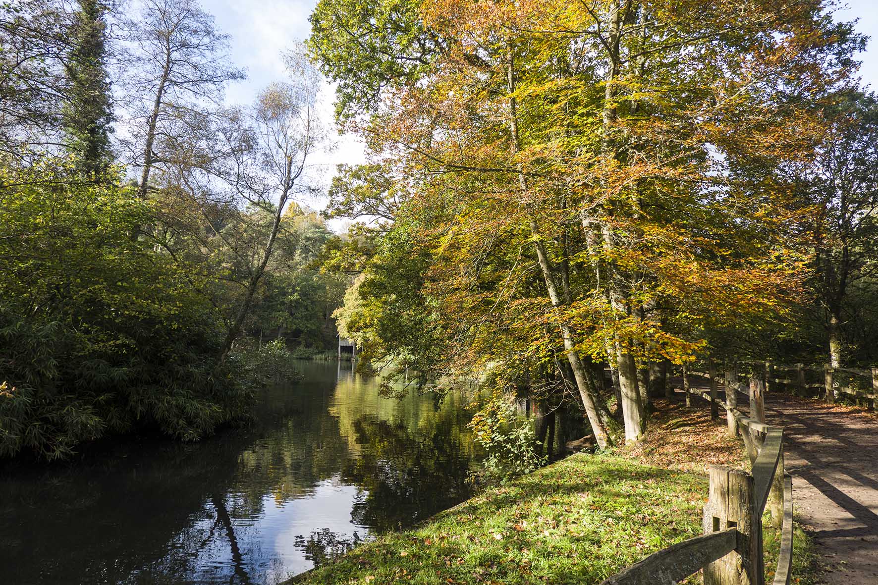 WinkworthArboretumAutumnColour 1