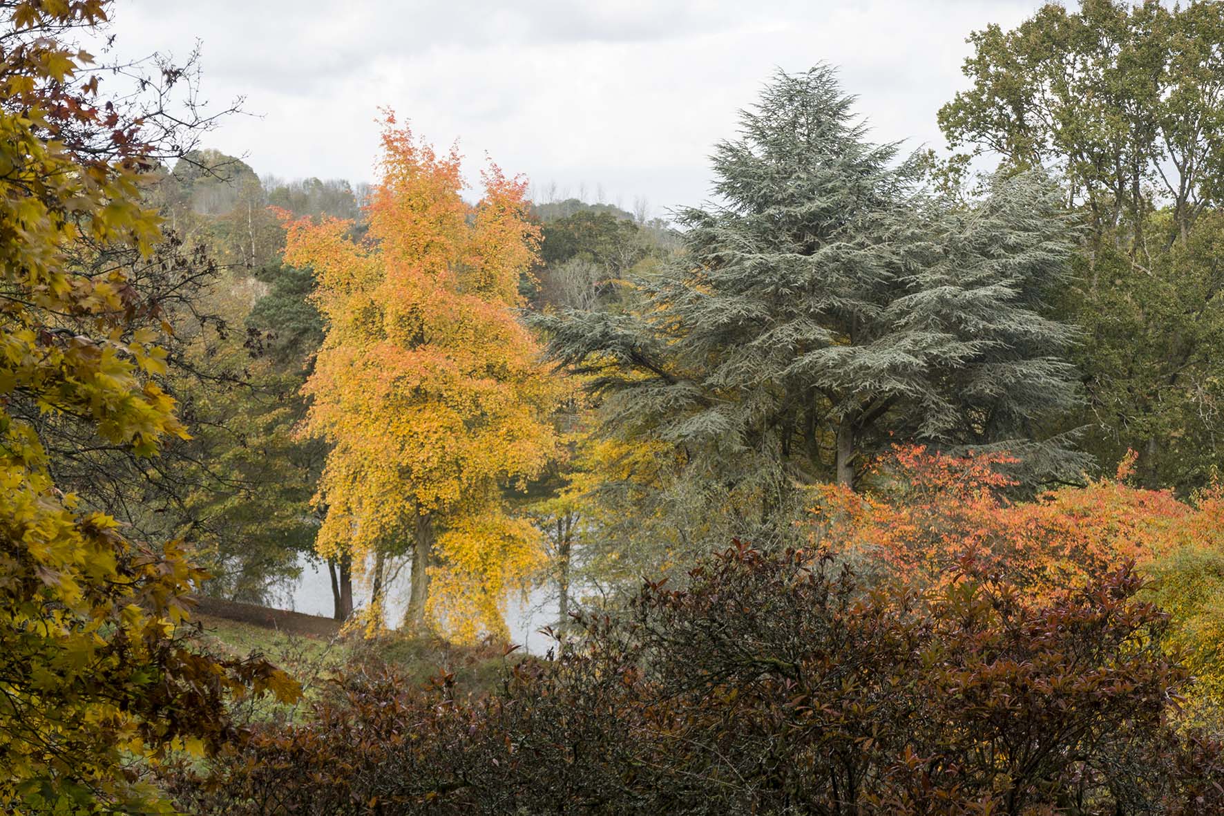 WinkworthArboretumAutumnColour 5