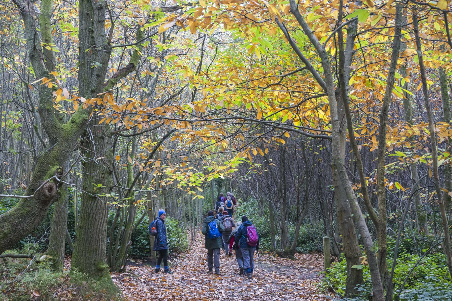 WinkworthArboretumMilfordWoods