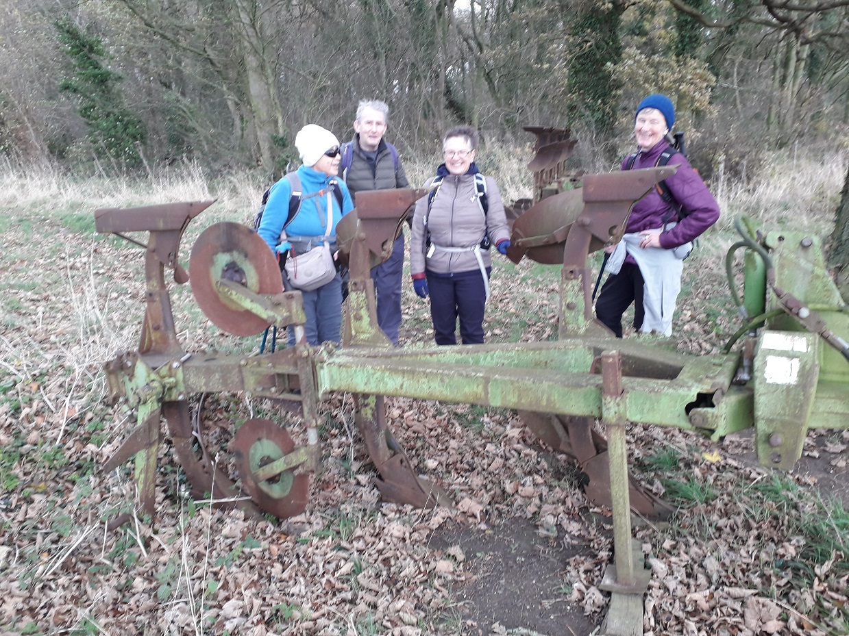 HarlingtonDH03