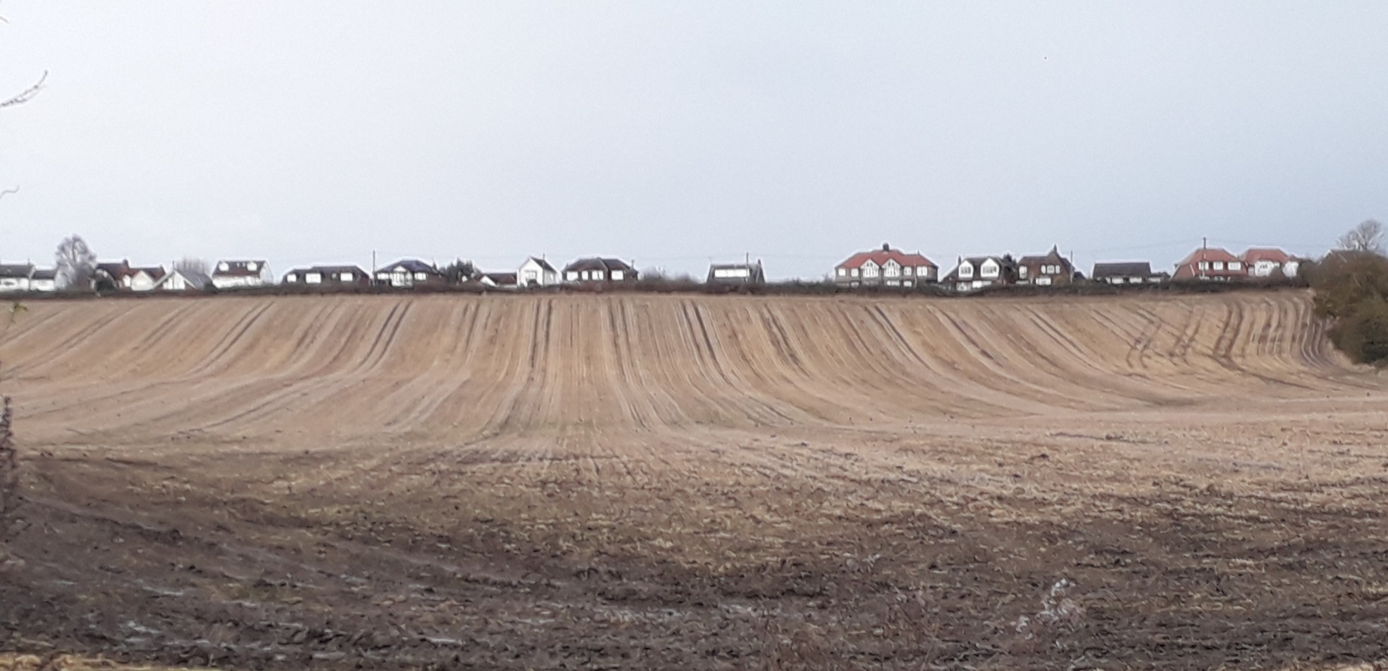 HarlingtonDH11
