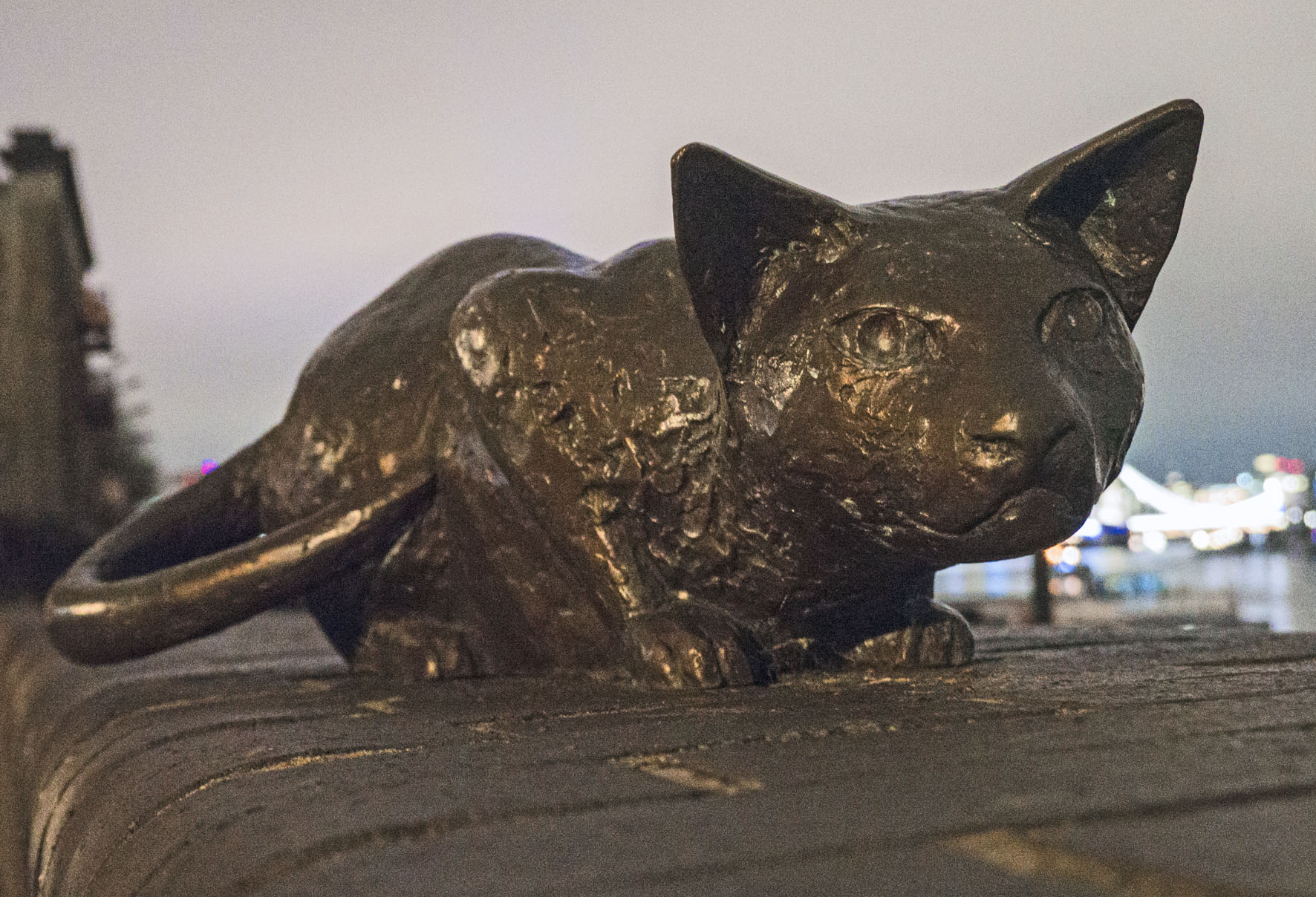 LewishamtoTowerHill Cat