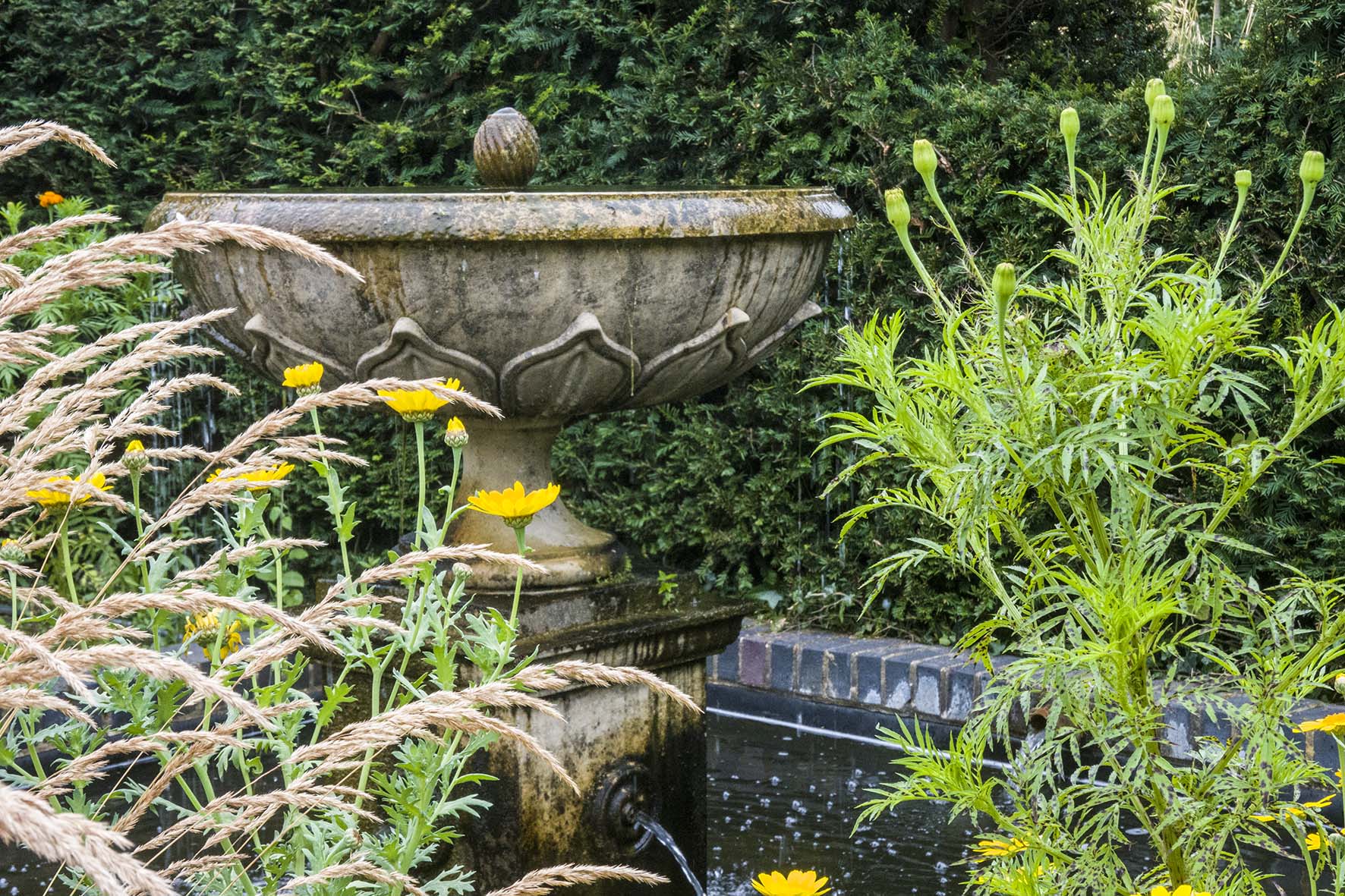 RobertsbridgeEtchnghm MerrimentsGdnWaterFeature