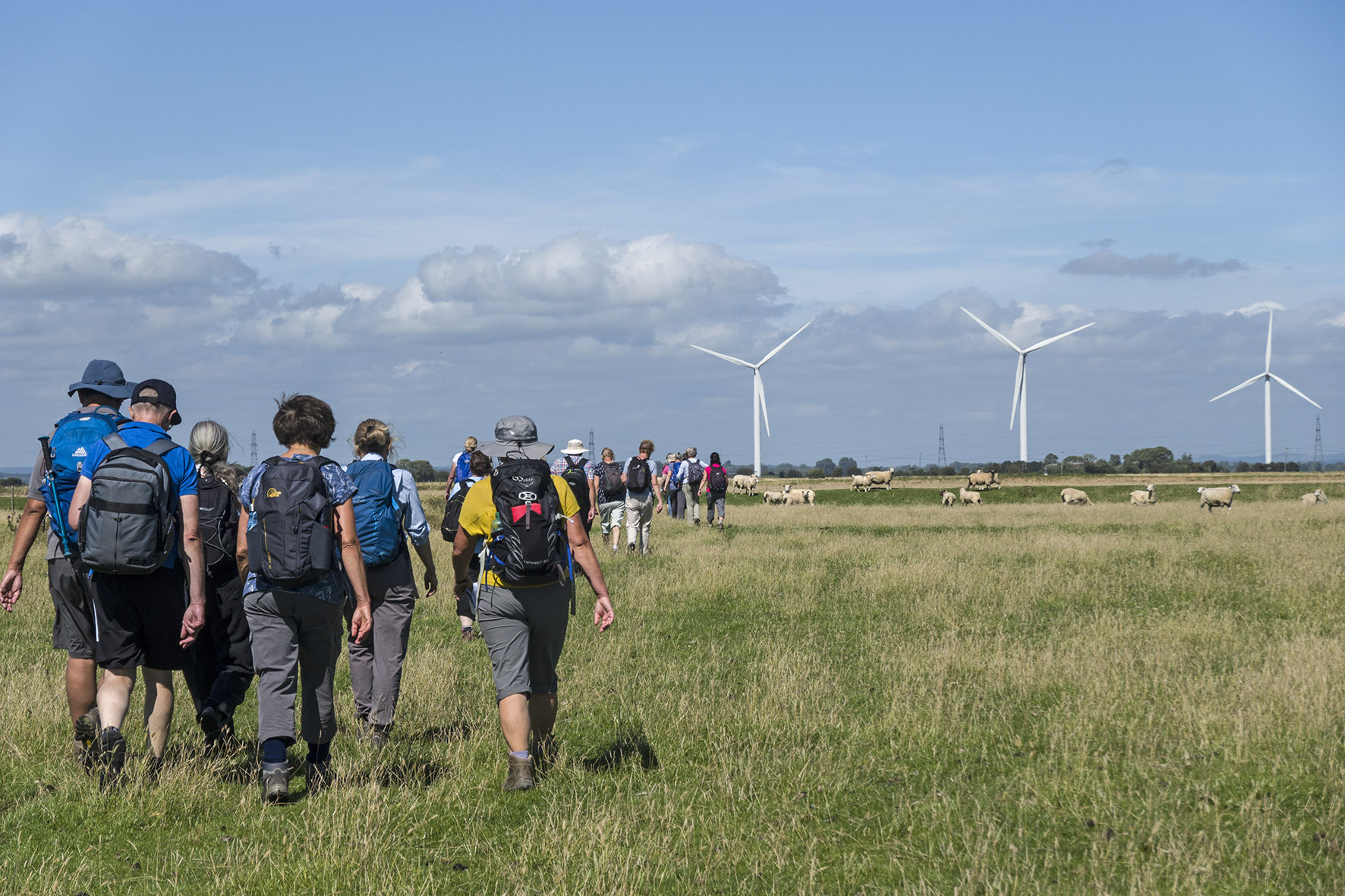 RyeCircRomneyMarshWindFarmwRamblers