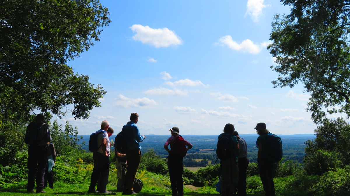 SA Knole Park 2