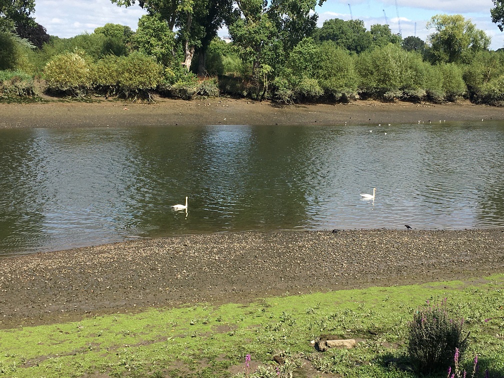 Thames01CM02