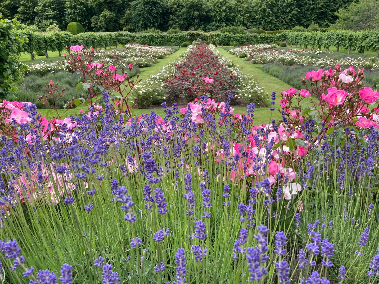 PenshurstPlace Jun 24 LC 4