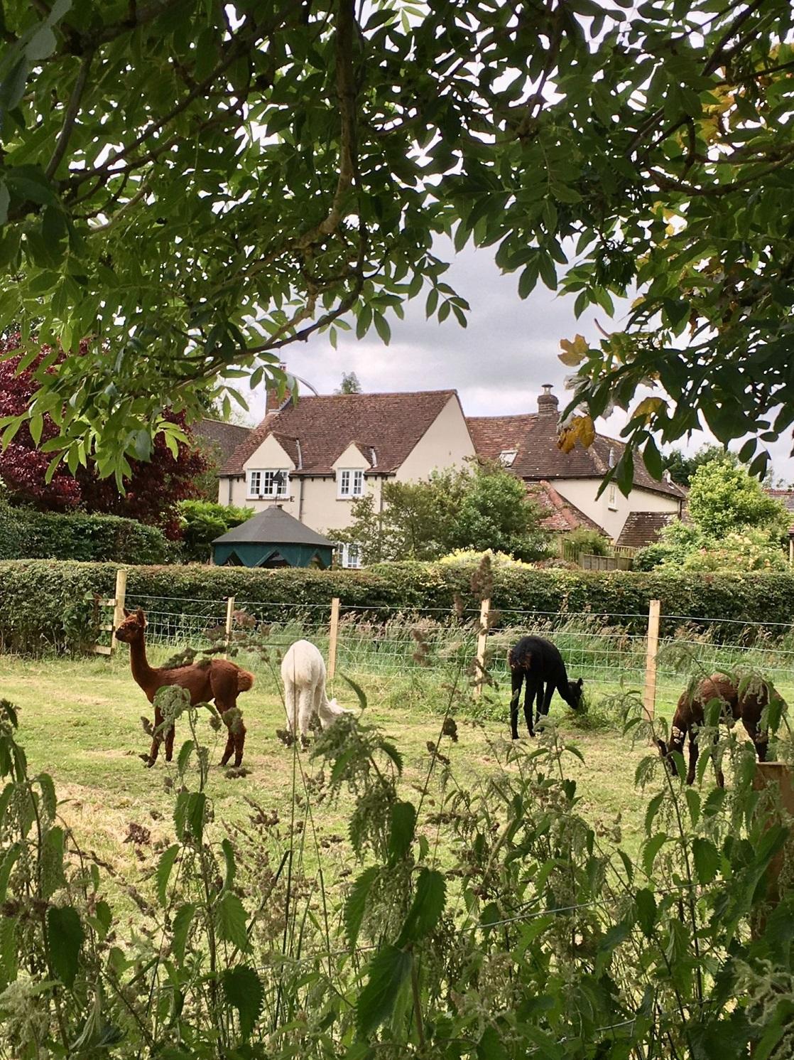 Saunderton JUN 24 SE 3