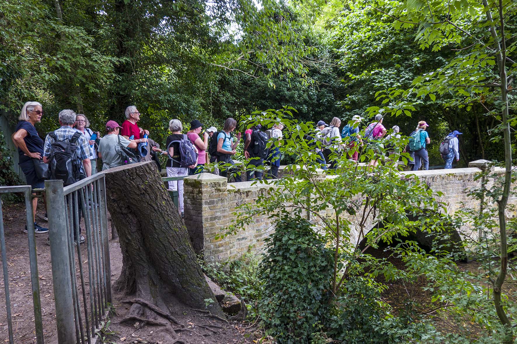 BexleytoPettsWood RLG02