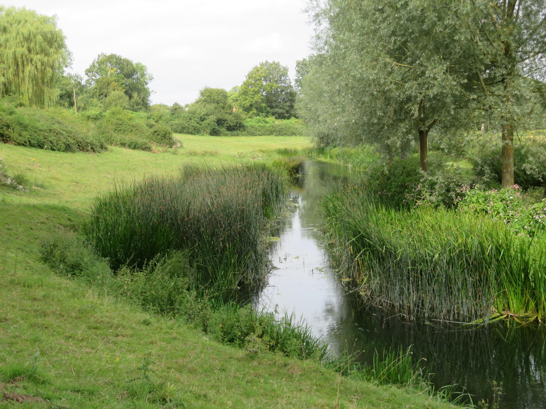 Bures5 AUG 24 JulieF 6