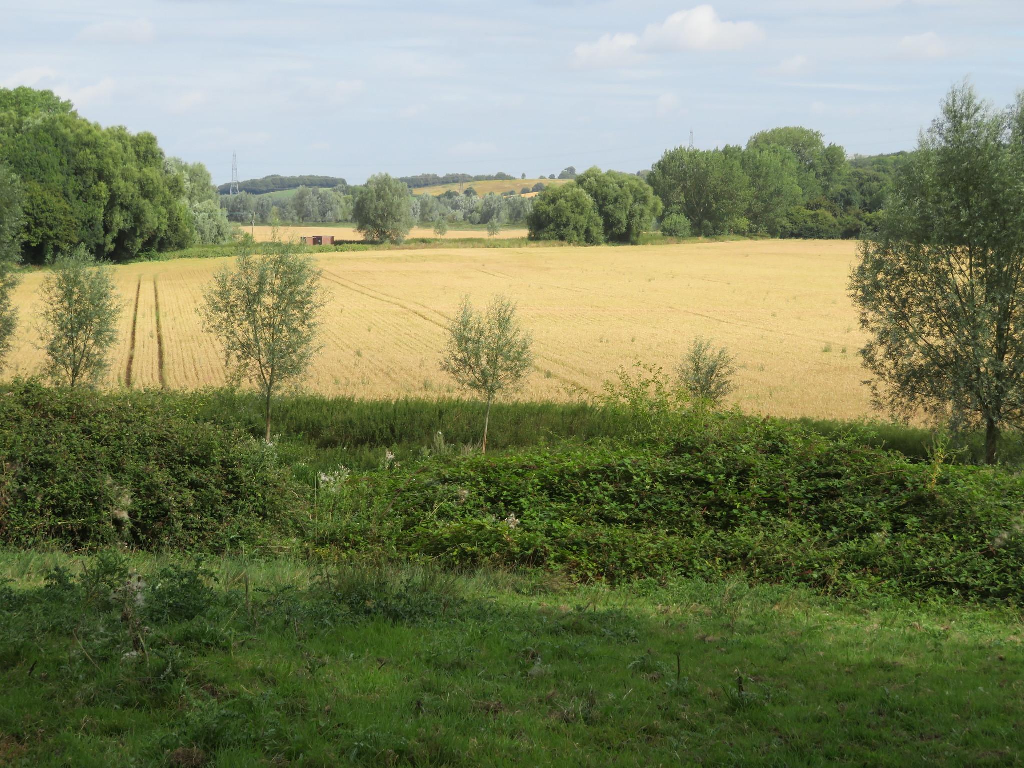 Bures8 AUG 24 JulieF 7