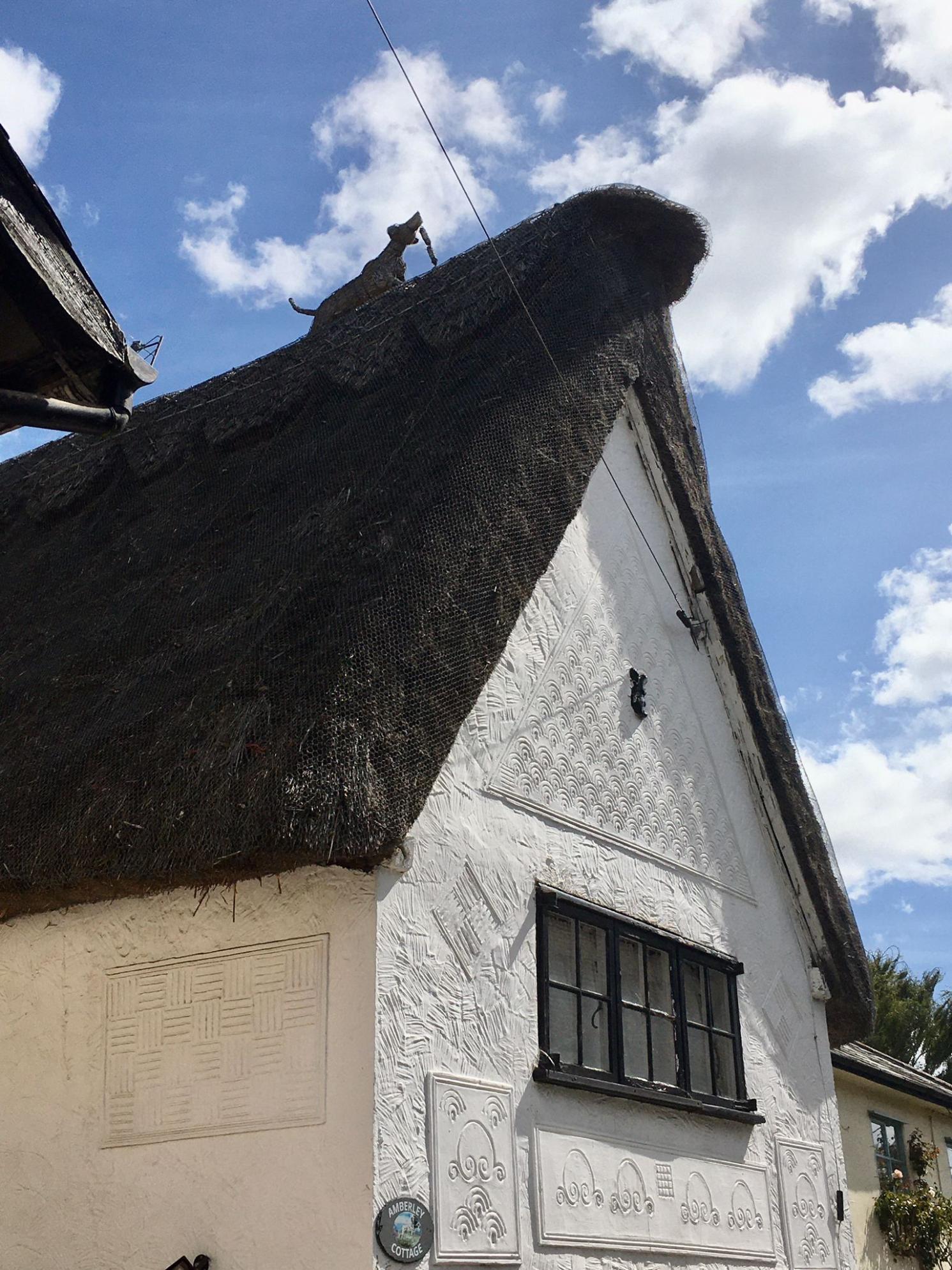 Gt Chesterford AUG 24 SE 8