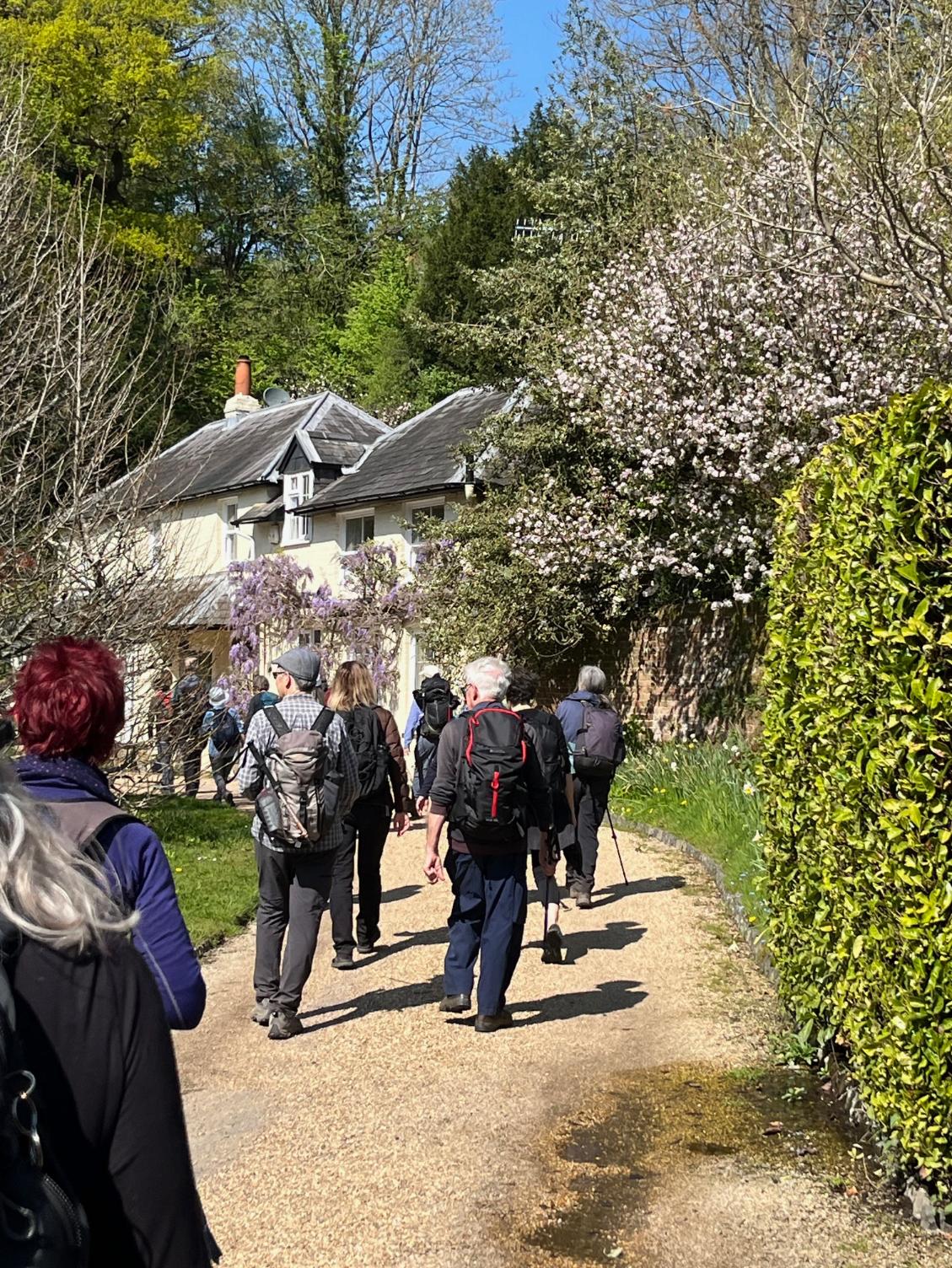 Clandon APR25 MF 8