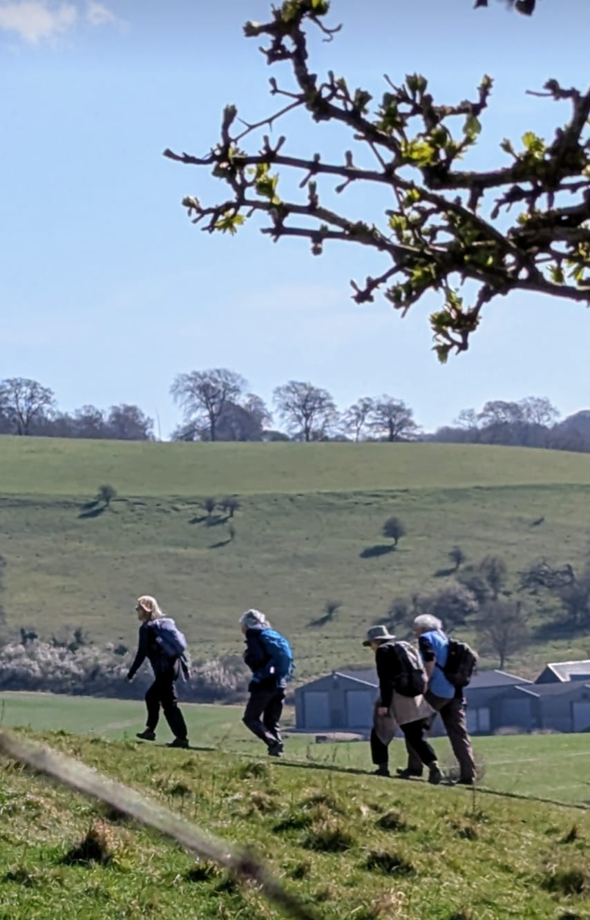 Tring APR25 KG 12