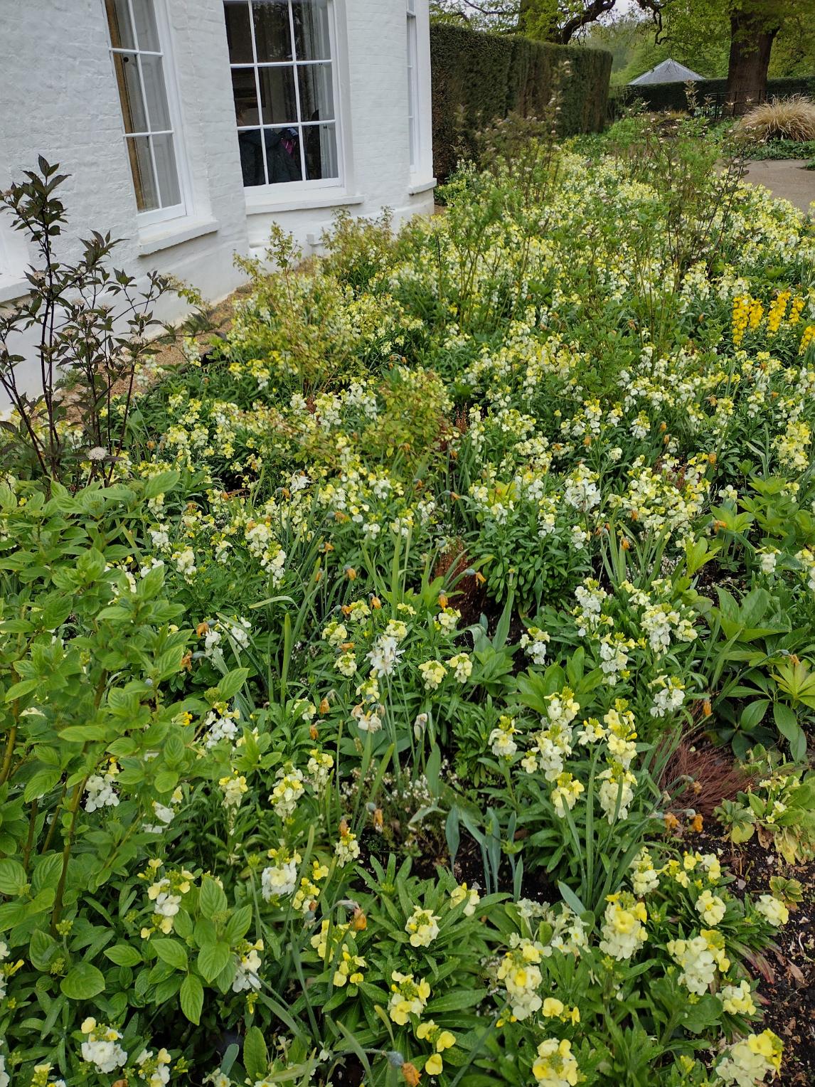 Wimbledon APR25 GF 3