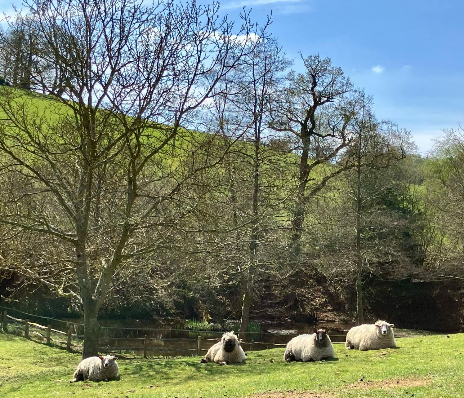 Witley APR25 SE 1