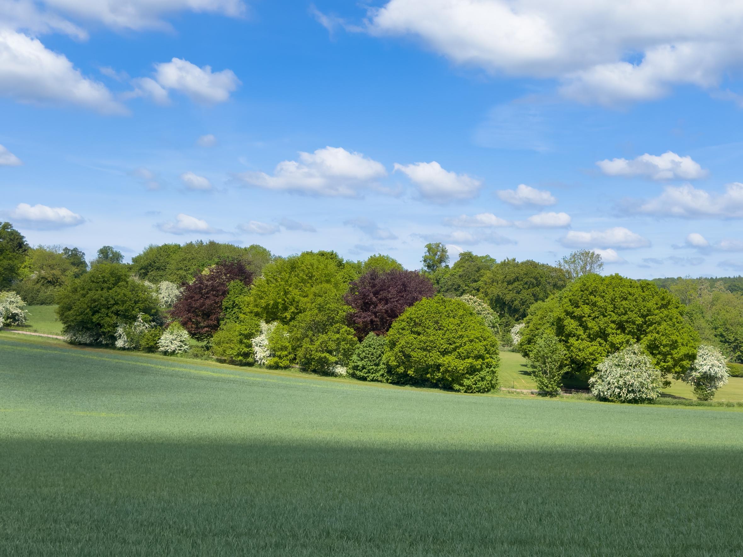 Amersham May25 Alm 7.1