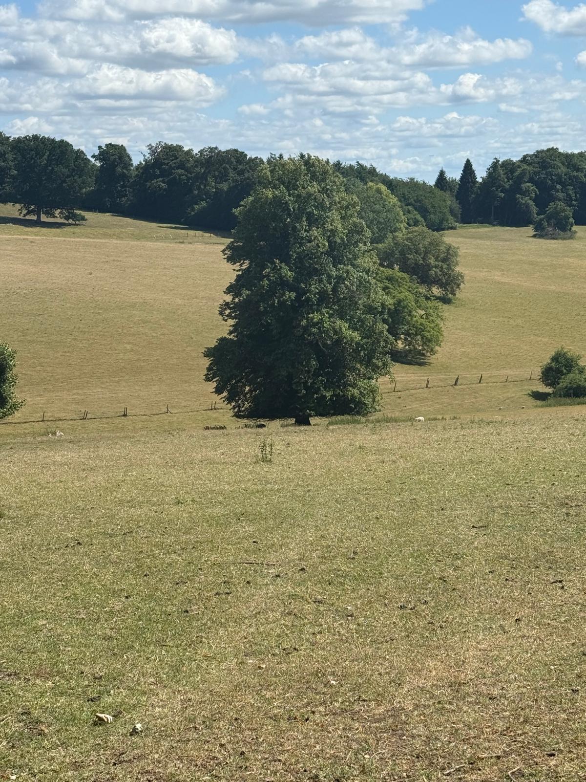 Amersham JUN25 HJ 3