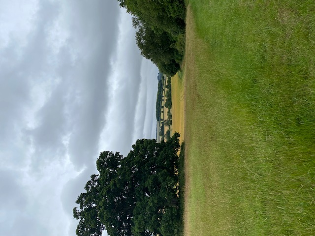 Bedwyn JUL25 SM 10
