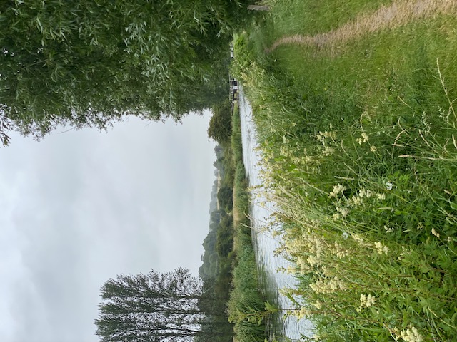 Bedwyn JUL25 SM 2