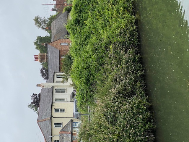 Bedwyn JUL25 SM 5