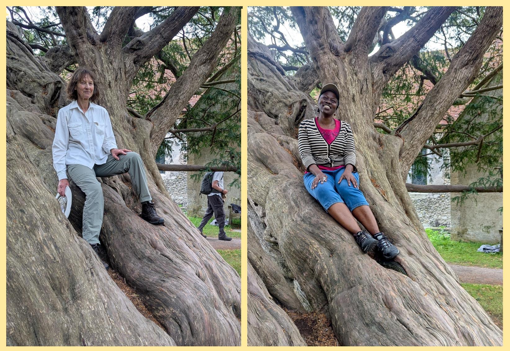 Berwick JUL25 Dryads