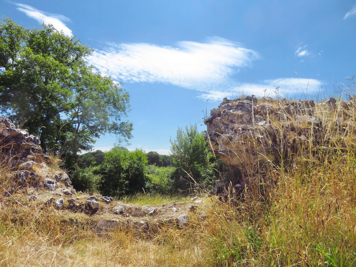 RomanCalleva JUL25 SA 4