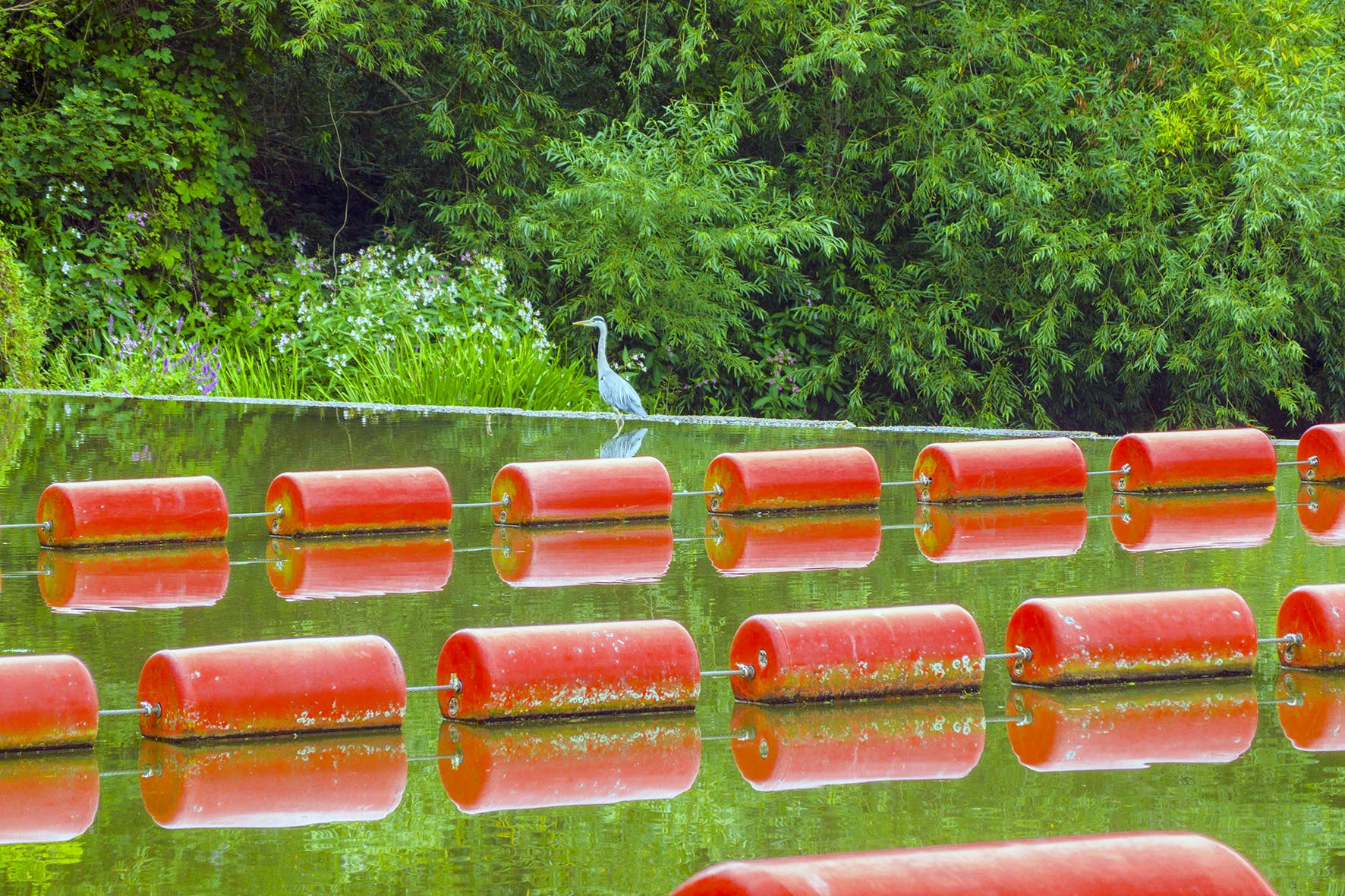 TonbridgeCirc RLG11