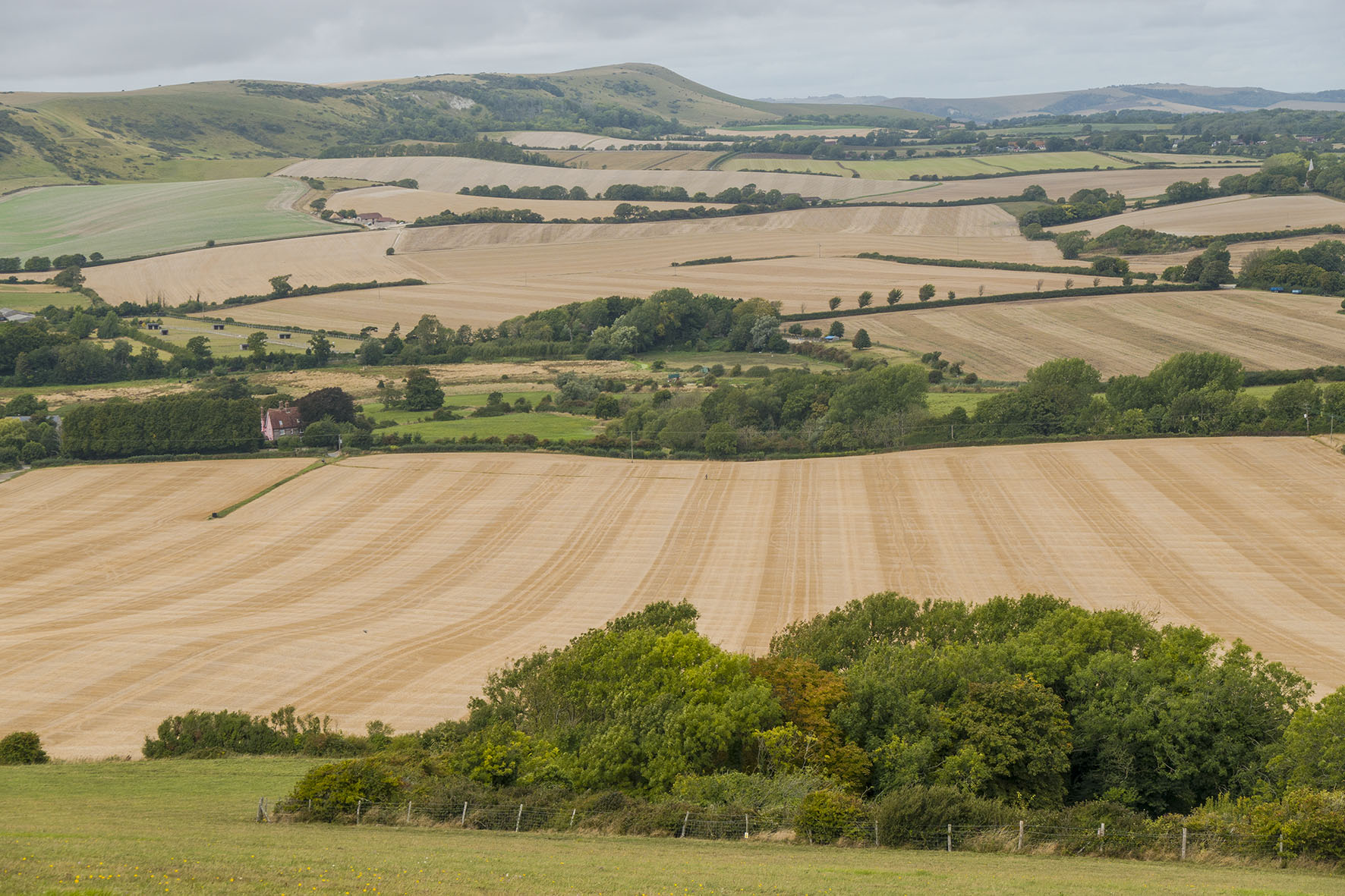 BerwicktoSeaford RLG11