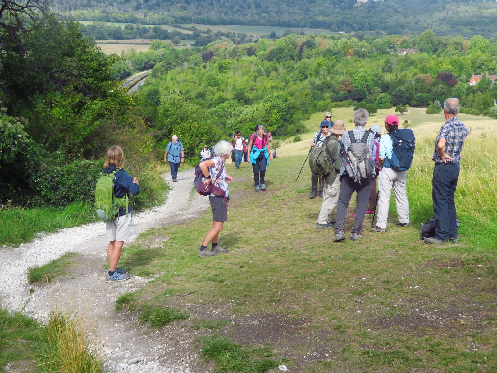 Box Hill 01