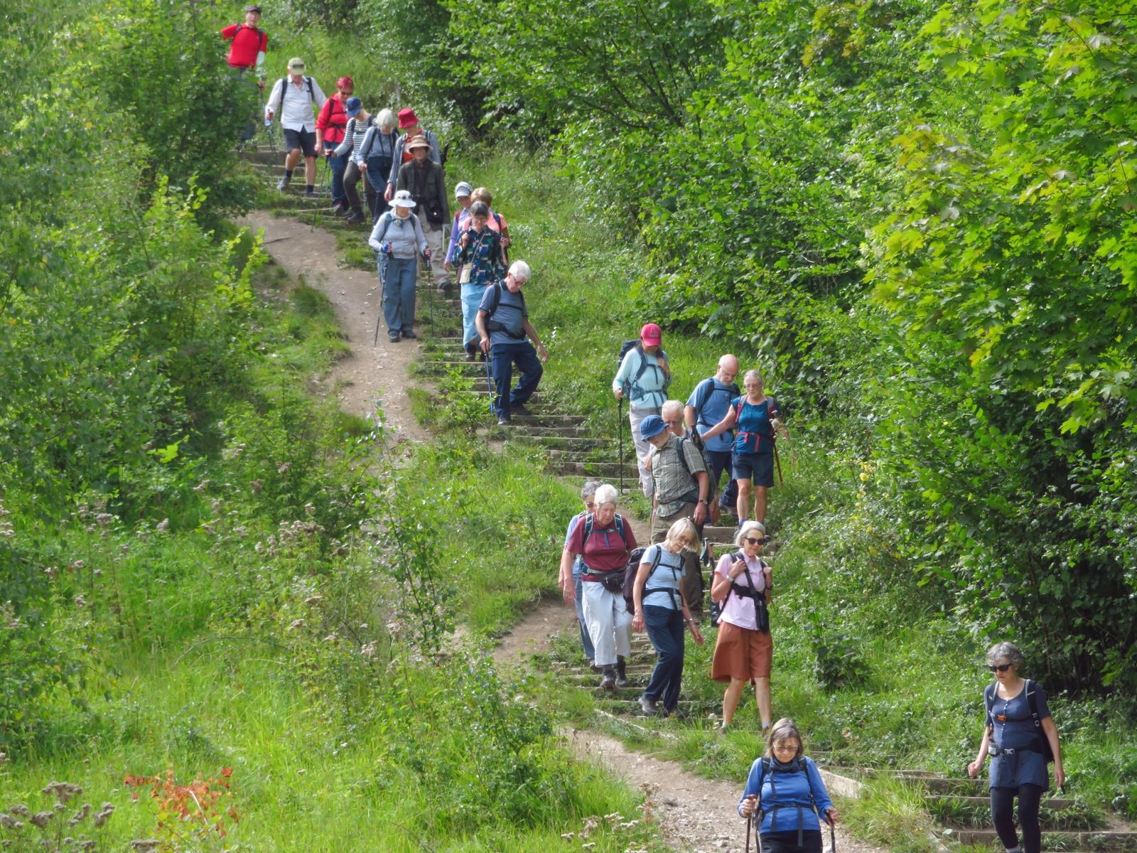 Box Hill 08