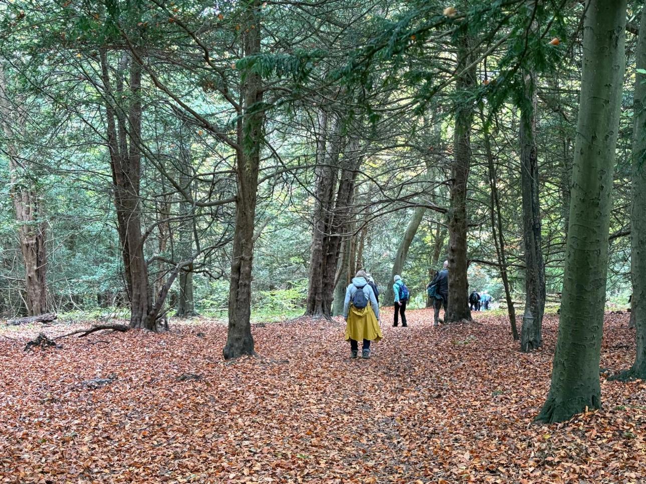 Dorking09 OCT25 LC 2